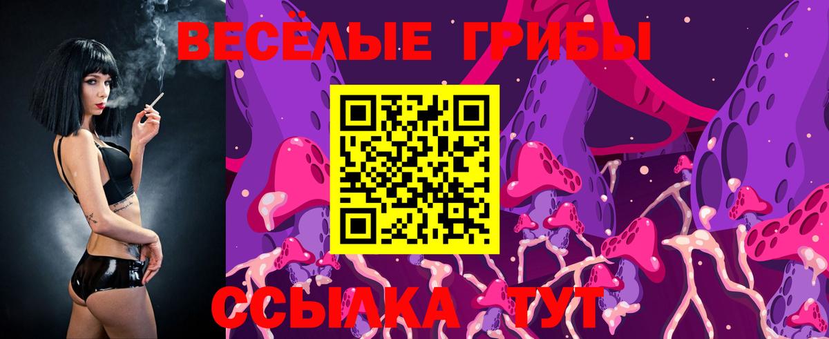Сосновоборск  что такое   Вход с VPN  Псилоцибиновые грибы Magic Shrooms  Псилоцибиновые грибы Psilocybine cubensis 